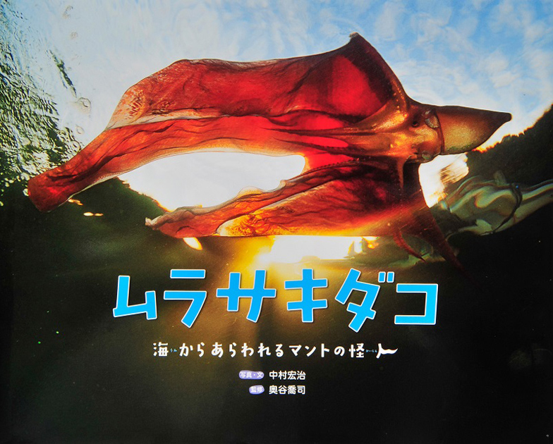 選んだ本