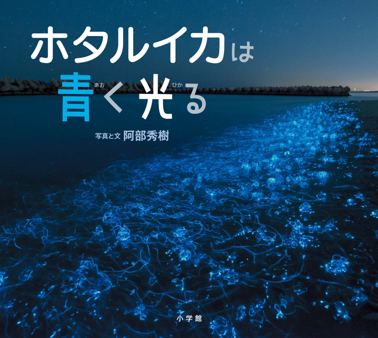 選んだ本