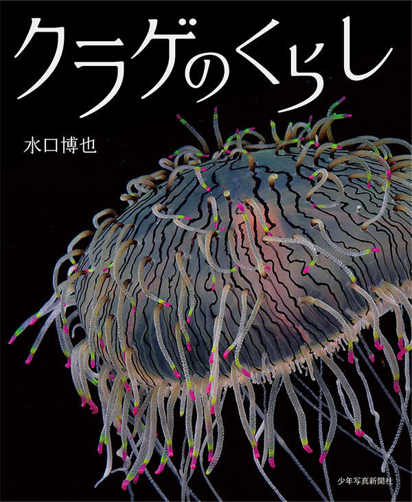 選んだ本