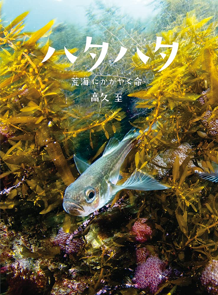 選んだ本