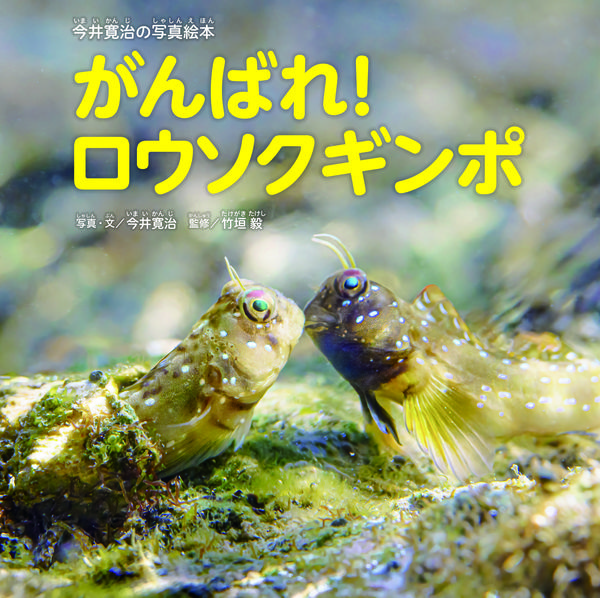 選んだ本