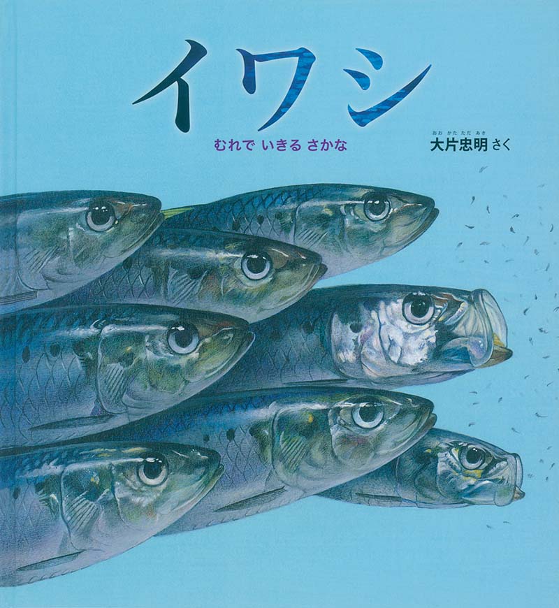 選んだ本