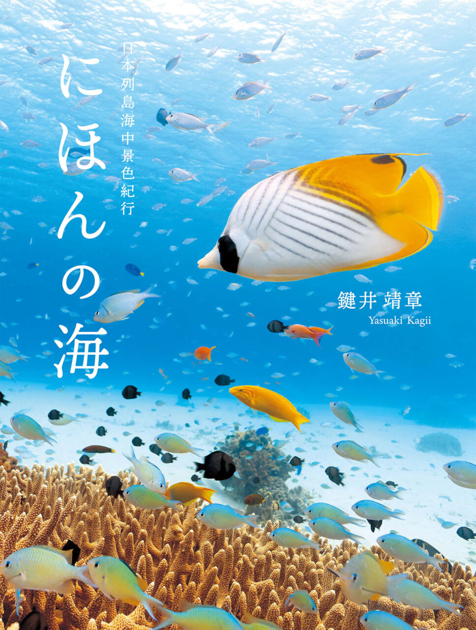 にほんの海　日本列島海中景色紀行