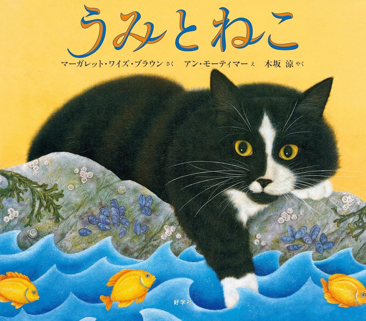 うみとねこ