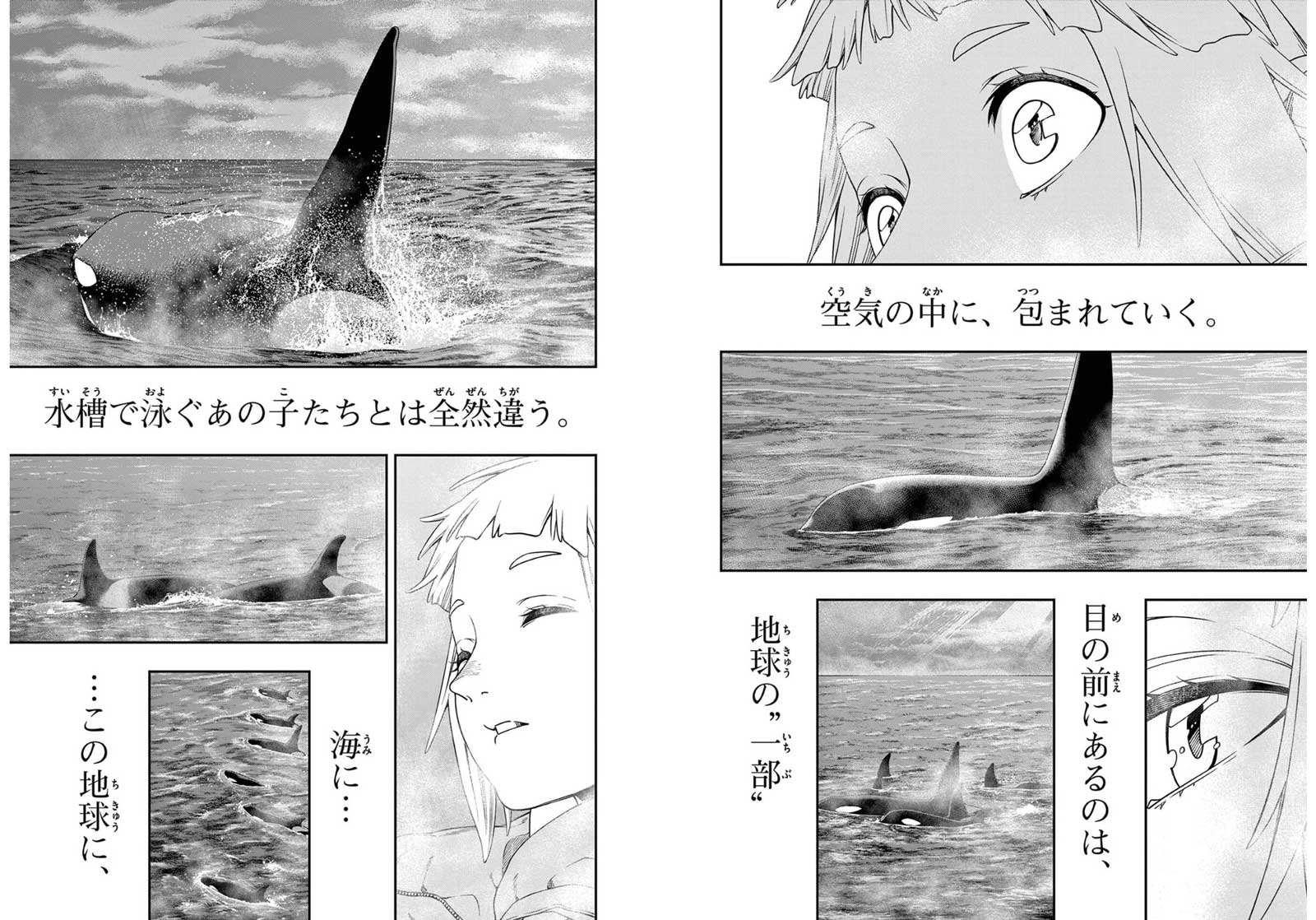 大海に響くコールの紙面